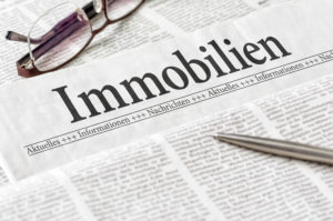 Informationen_Dronia_immobilien